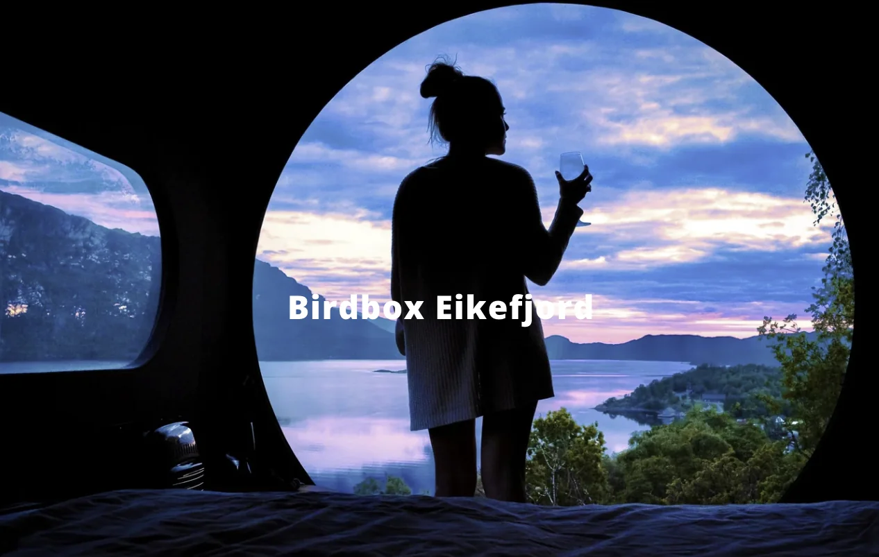 BIRDBOX by Levit dalla Norvegia - Glamping 